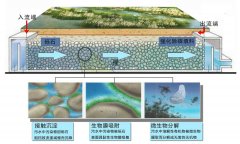 水环境生态修复系统